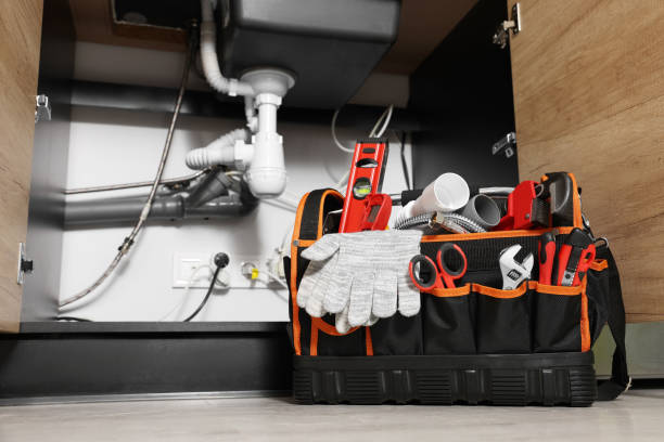 Best Residential Plumbing Services  in Chesterton, IN