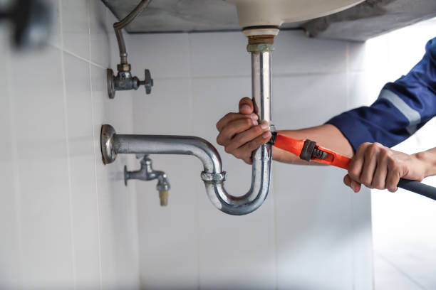 Best Local Plumber Services  in Chesterton, IN