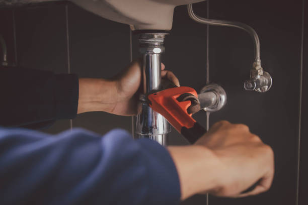 Best Local Plumber Services  in Chesterton, IN
